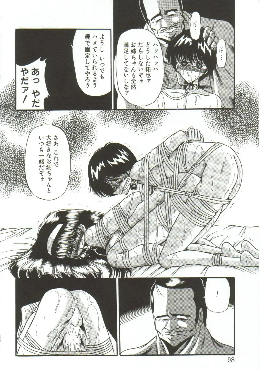 [Horikawa Gorou] Aigan Ryoujoku Sho Fhentai - Page 96