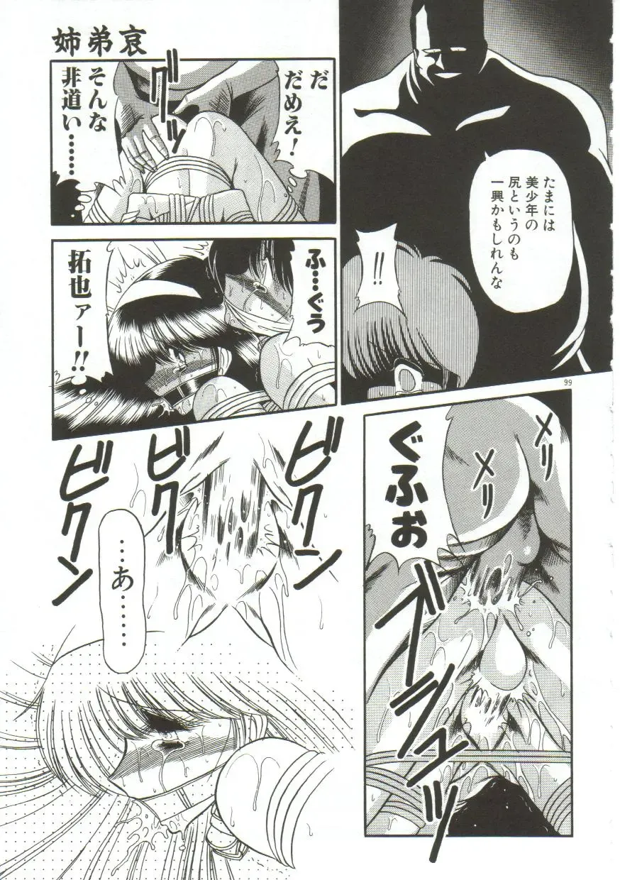 [Horikawa Gorou] Aigan Ryoujoku Sho Fhentai - Page 97