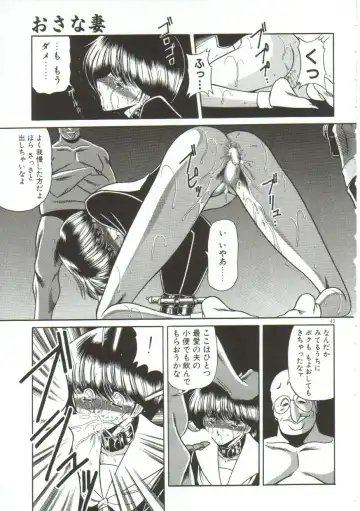 [Horikawa Gorou] Aigan Ryoujoku Sho Fhentai - Page 41