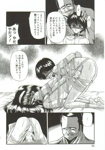 [Horikawa Gorou] Aigan Ryoujoku Sho Fhentai - Page 96