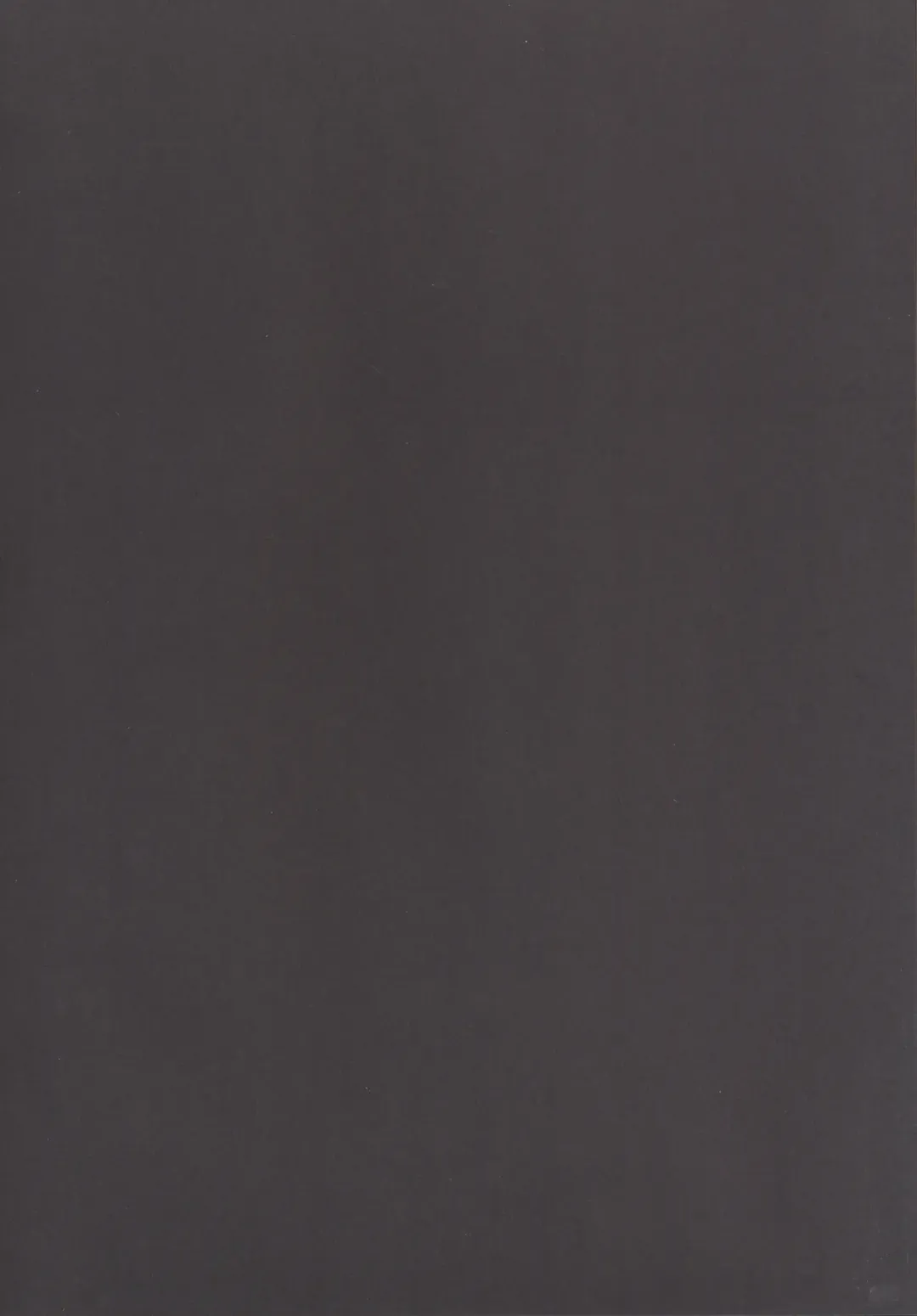 [Sakai Minato] Momoiro Senjutsu Fhentai - Page 3