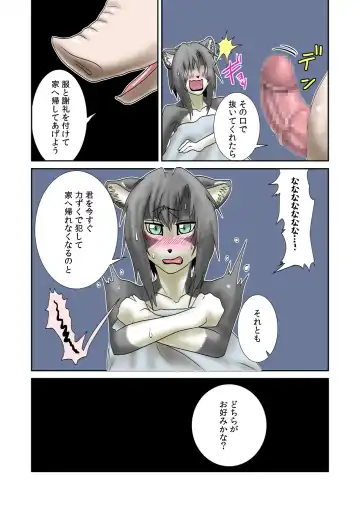 [Nosada] Neko Ijiri Fhentai - Page 4