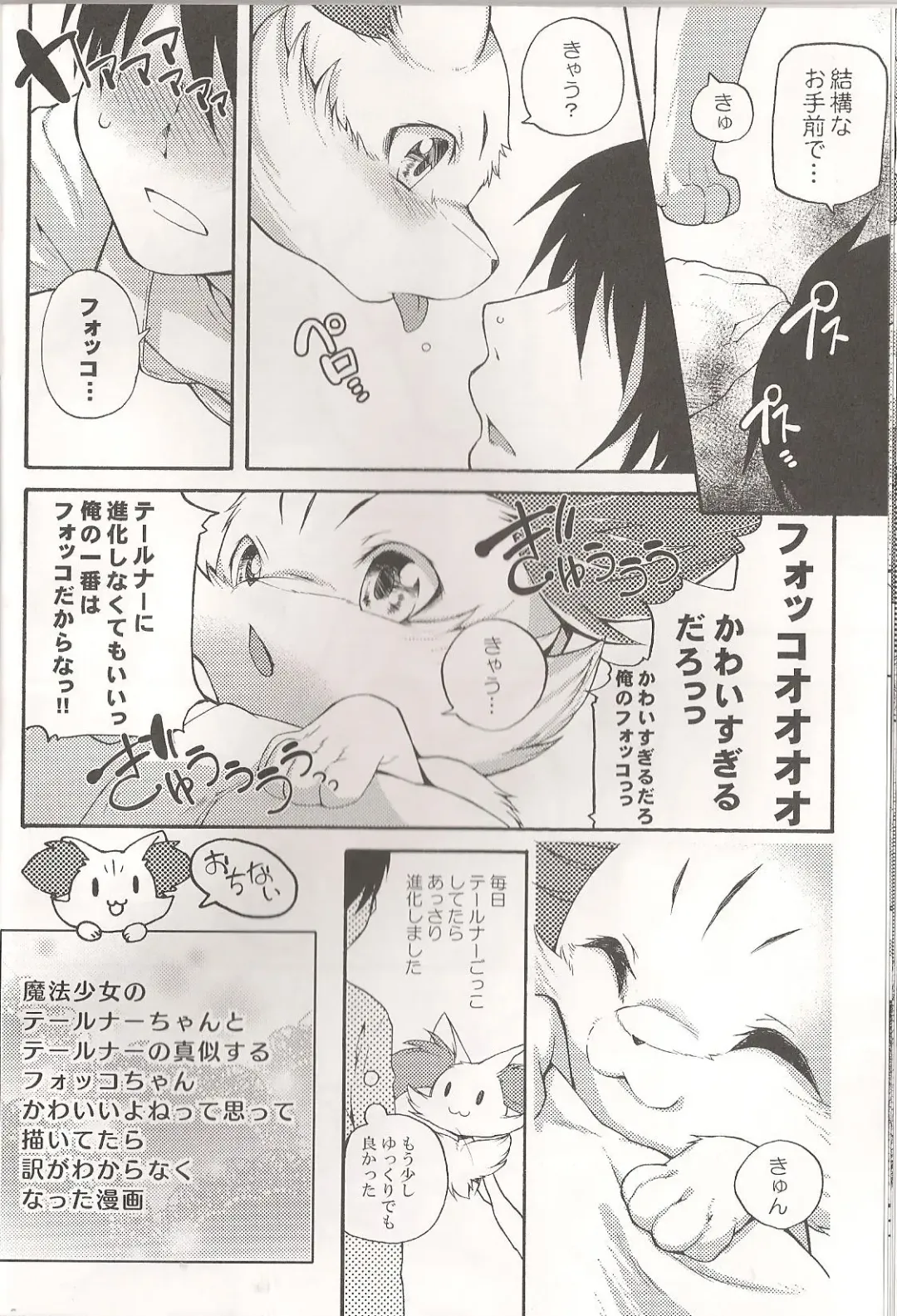 [Inumimi Moeta] Roman de Renart 2 Fhentai - Page 11