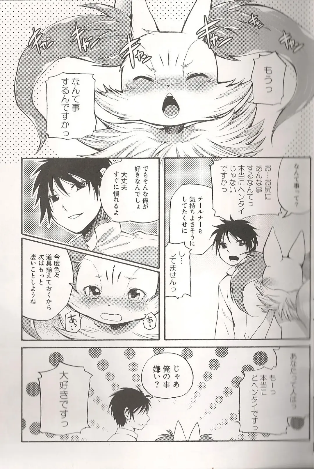 [Inumimi Moeta] Roman de Renart 2 Fhentai - Page 26