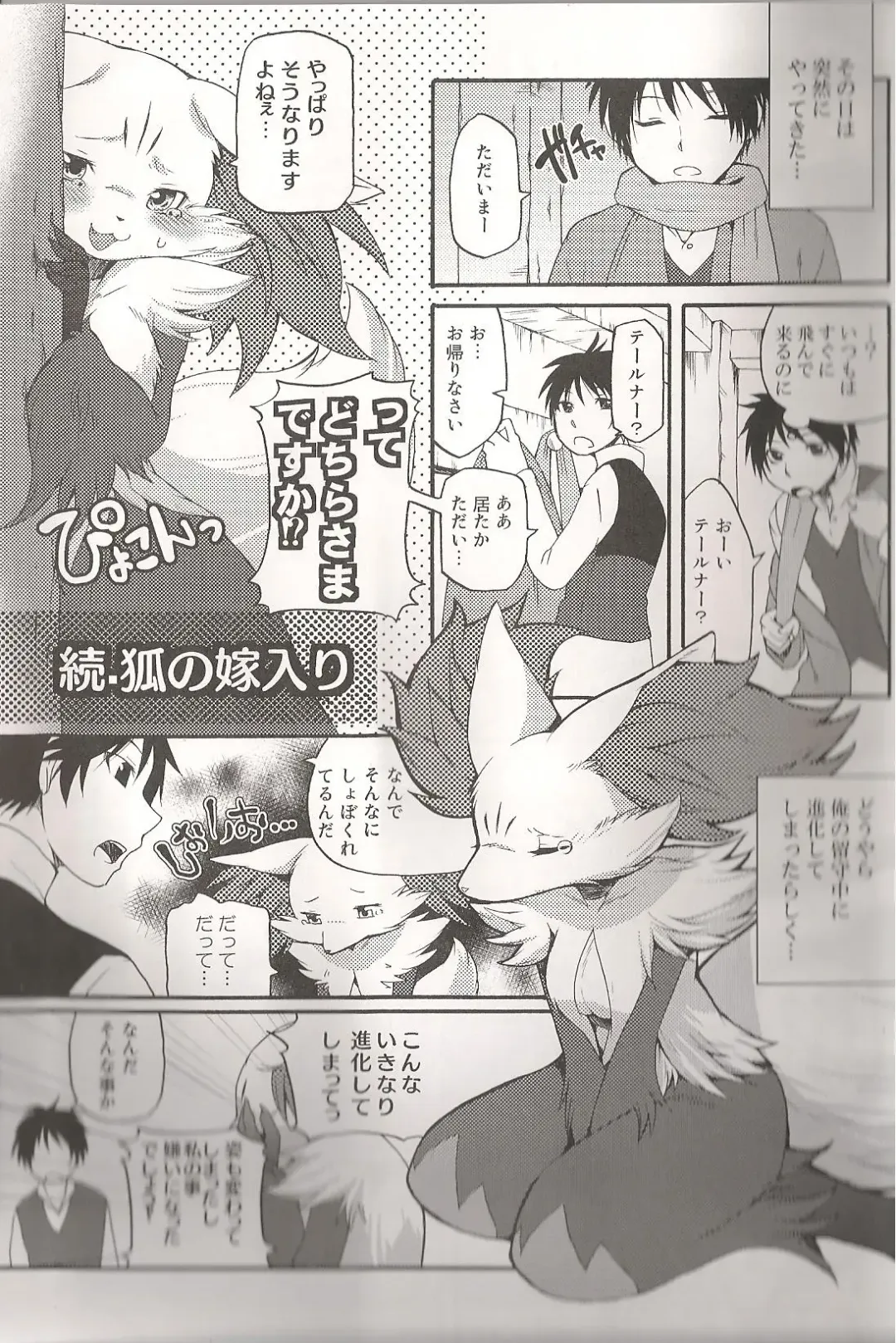 [Inumimi Moeta] Roman de Renart 2 Fhentai - Page 28