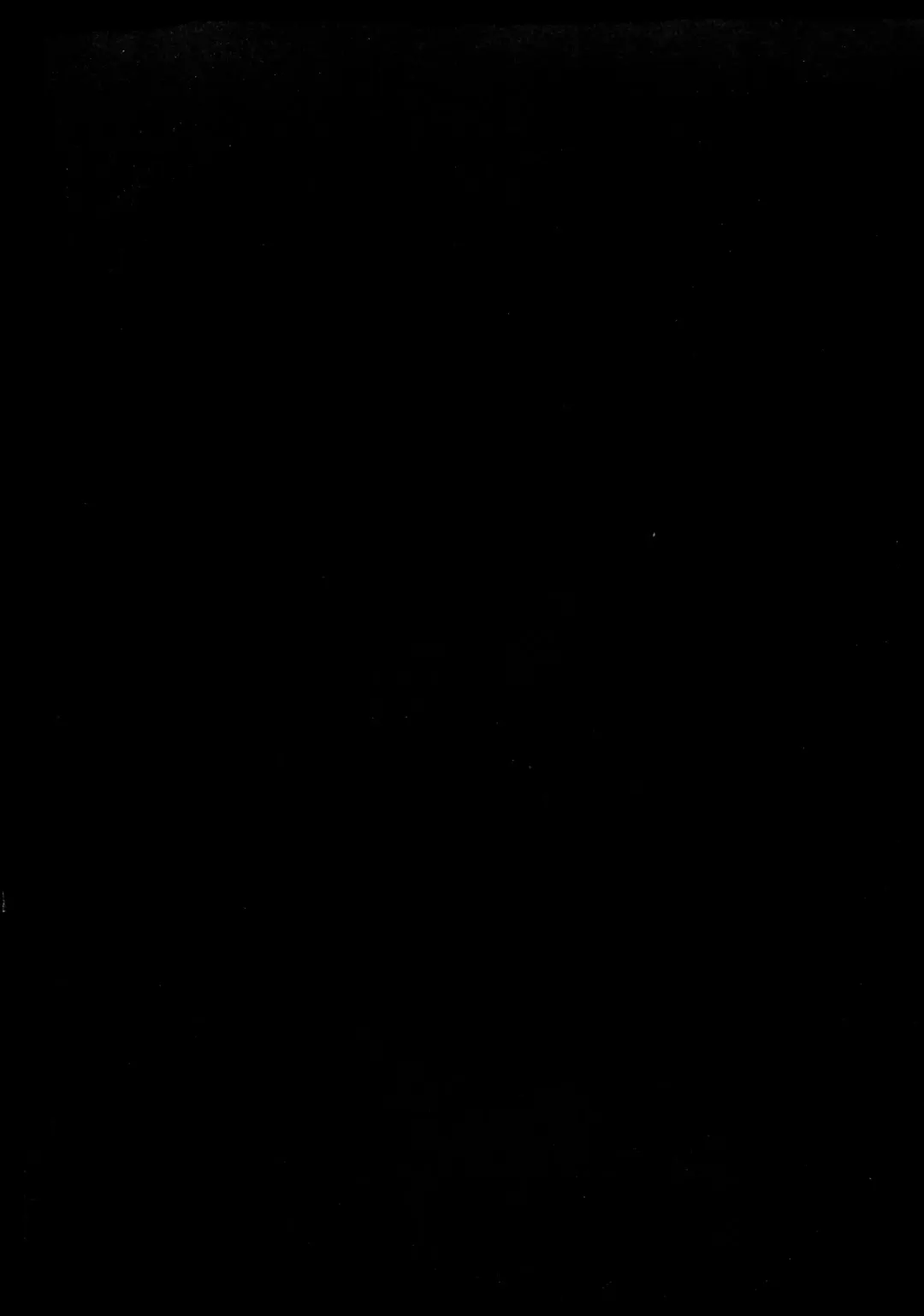 [Nelo Angelo] Sarani Seiyoku o moteamashita Yuukarin no Asobi W Fhentai - Page 4