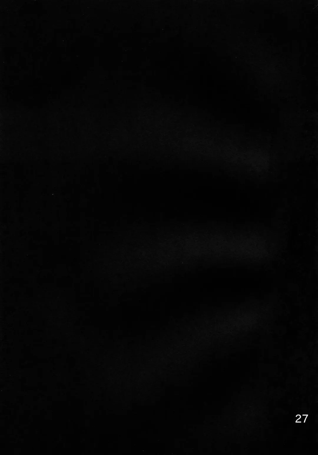 [Han] ORNX Fhentai - Page 26