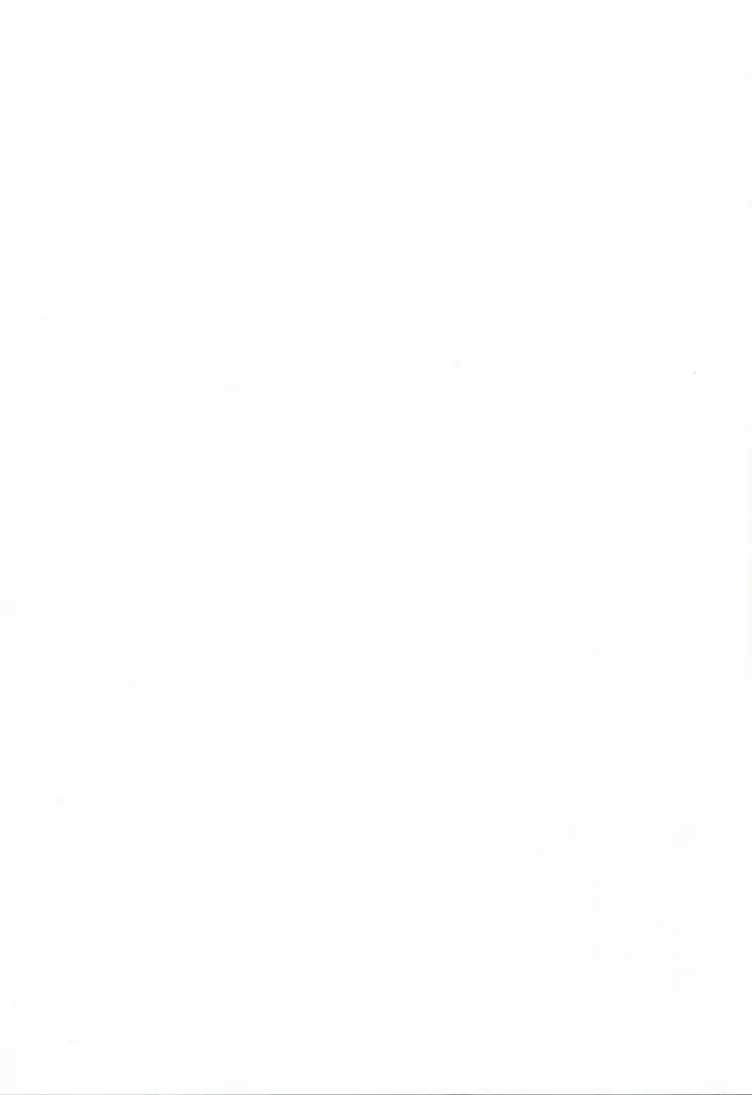 [Hase Yuu] Rokakushita Ritou-chan ga Kawaikatta node... Fhentai - Page 40