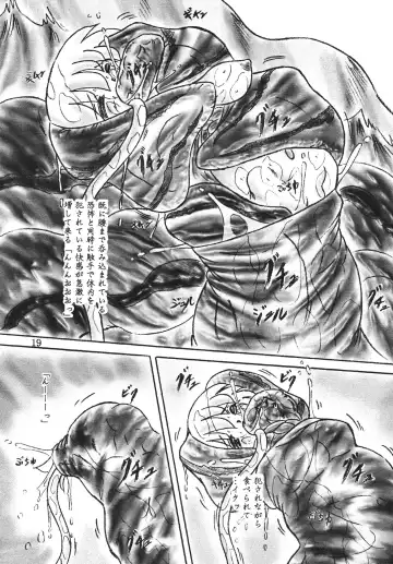 [Sumomo Ex] Shinju Shimai Fhentai - Page 18