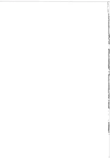 [Nekonta] Hara Miko -Machuu no Inketsu- Fhentai - Page 25