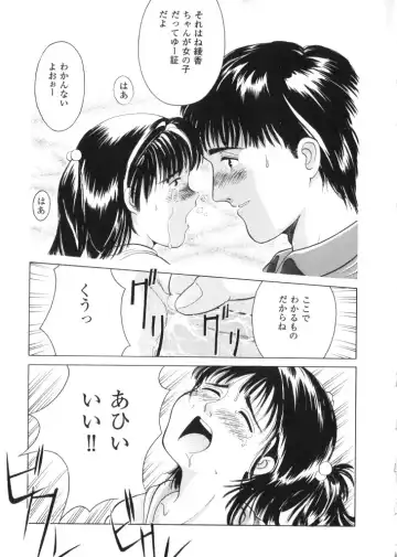 Yousei Nikki No. 2 Fhentai - Page 22