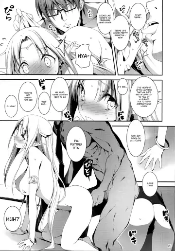 [Kikurage] Kuro no Ryman to Yousei Hime Elnise Fhentai - Page 23