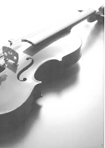 [Marugoshi] IDOLMASTER Fhentai - Page 2