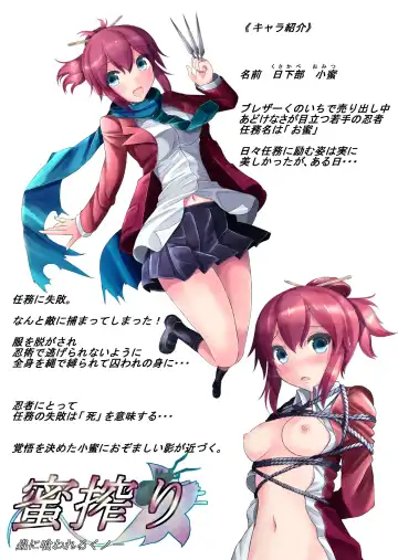 [Potu] Mitsushibori: Kunoichi and Mushi Fhentai - Page 2