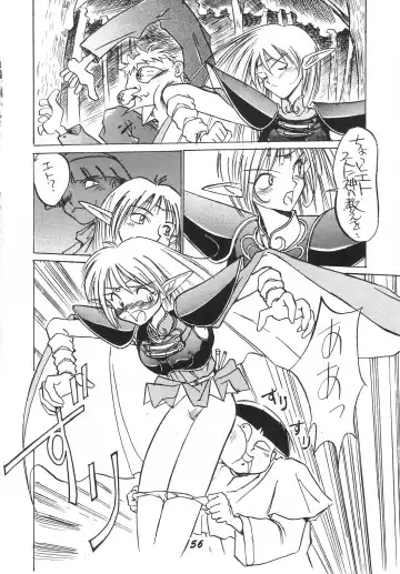 [Kaishaku] Record of Lodoss War Fhentai - Page 2