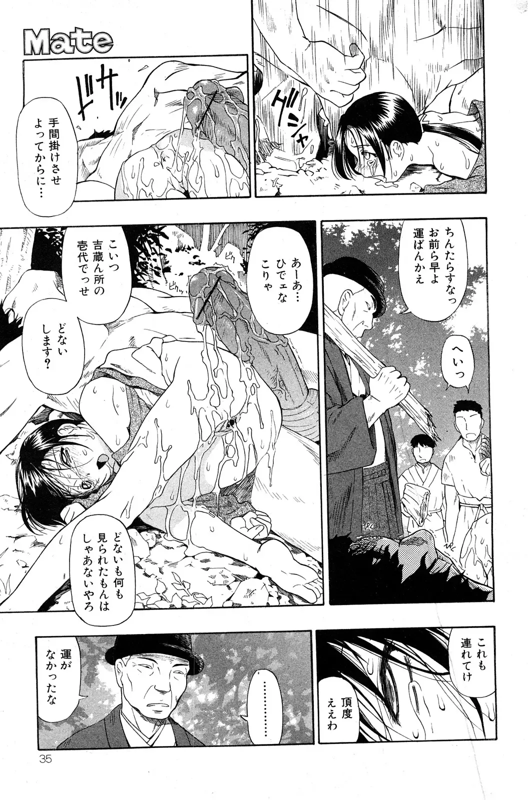 COMIC Mate 2008-04 Fhentai - Page 34