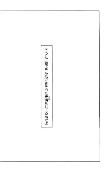 [Izumi Bouko] Tadashii Maid no Susume Fhentai - Page 49