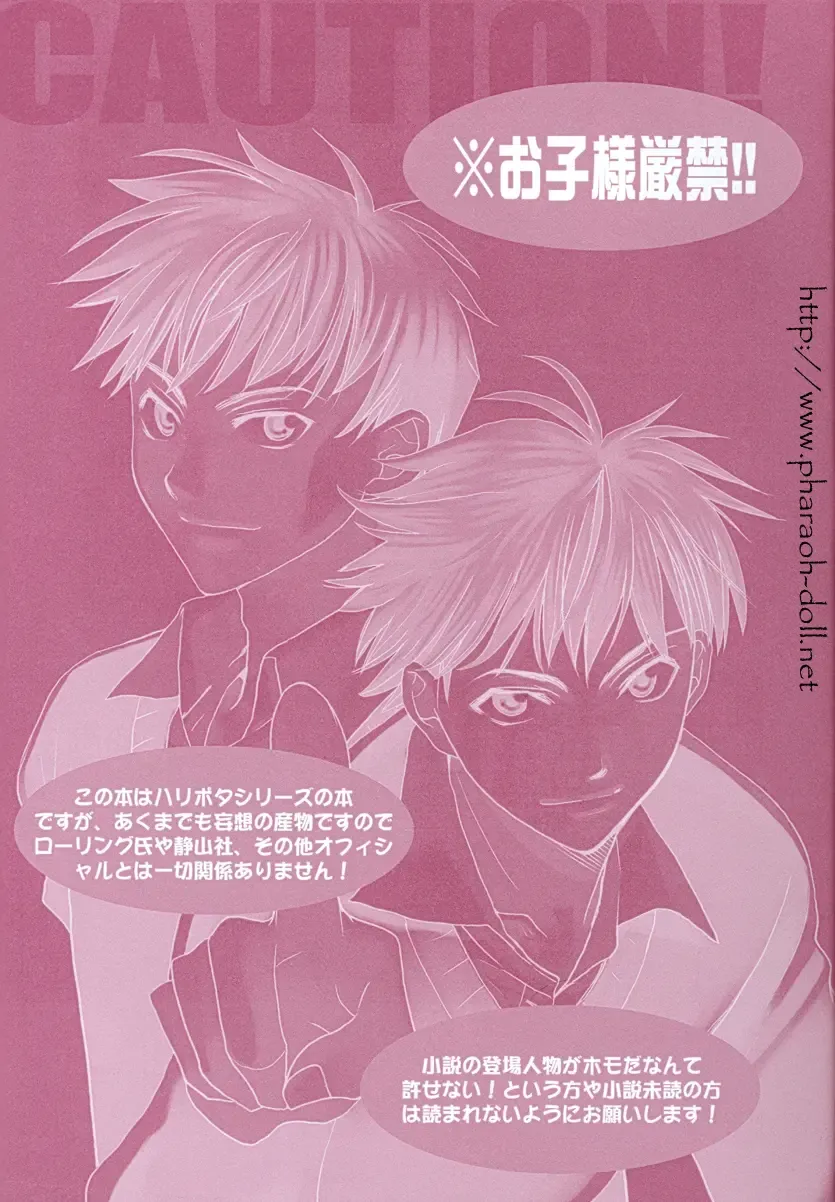 [Goribote] Futago to Onii-san Fhentai - Page 5