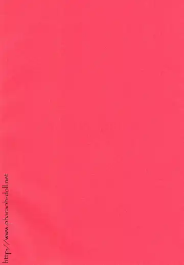 [Goribote] Futago to Onii-san Fhentai - Page 34