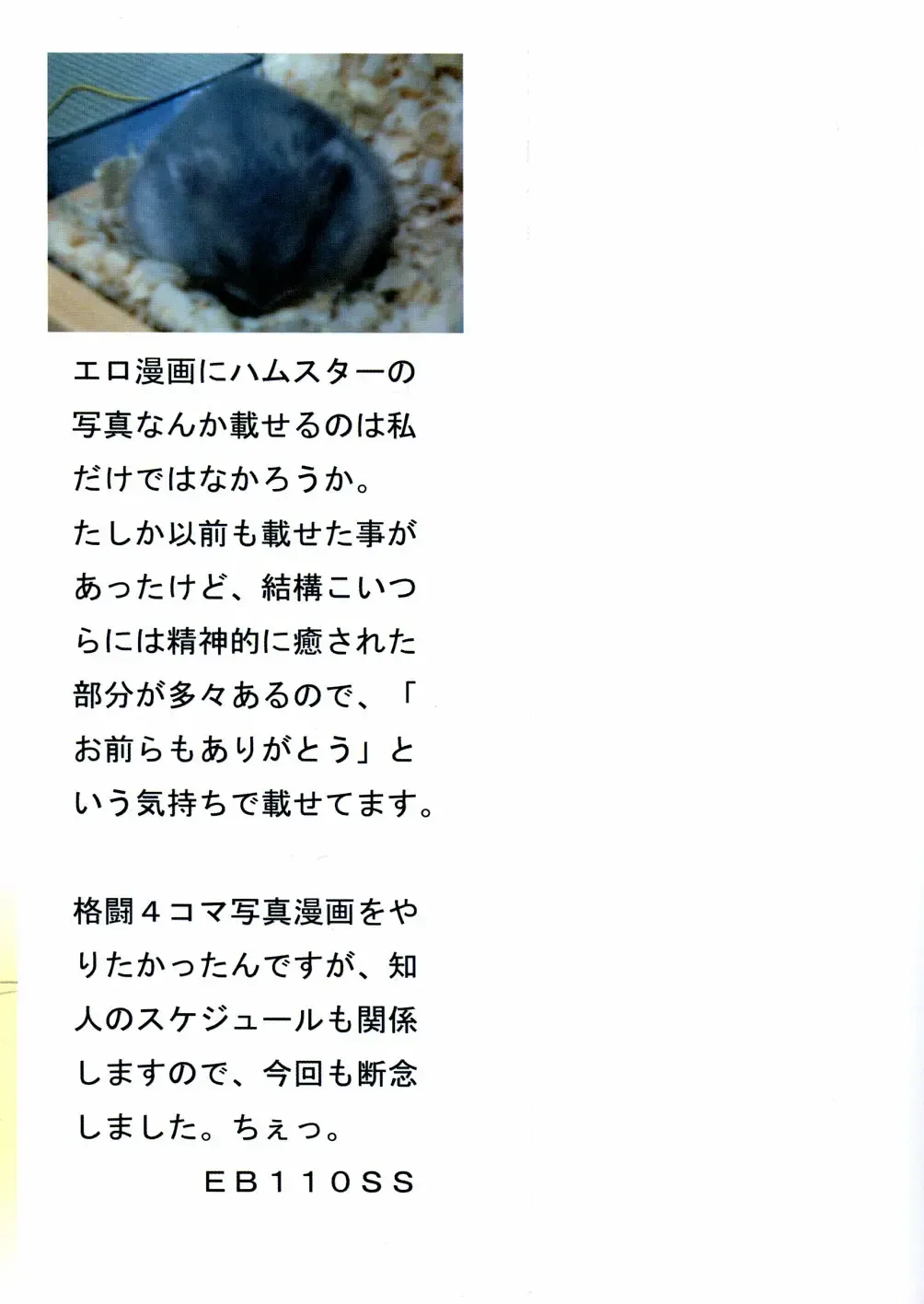 [Eb110ss] A, Chicchai ne Fhentai - Page 177