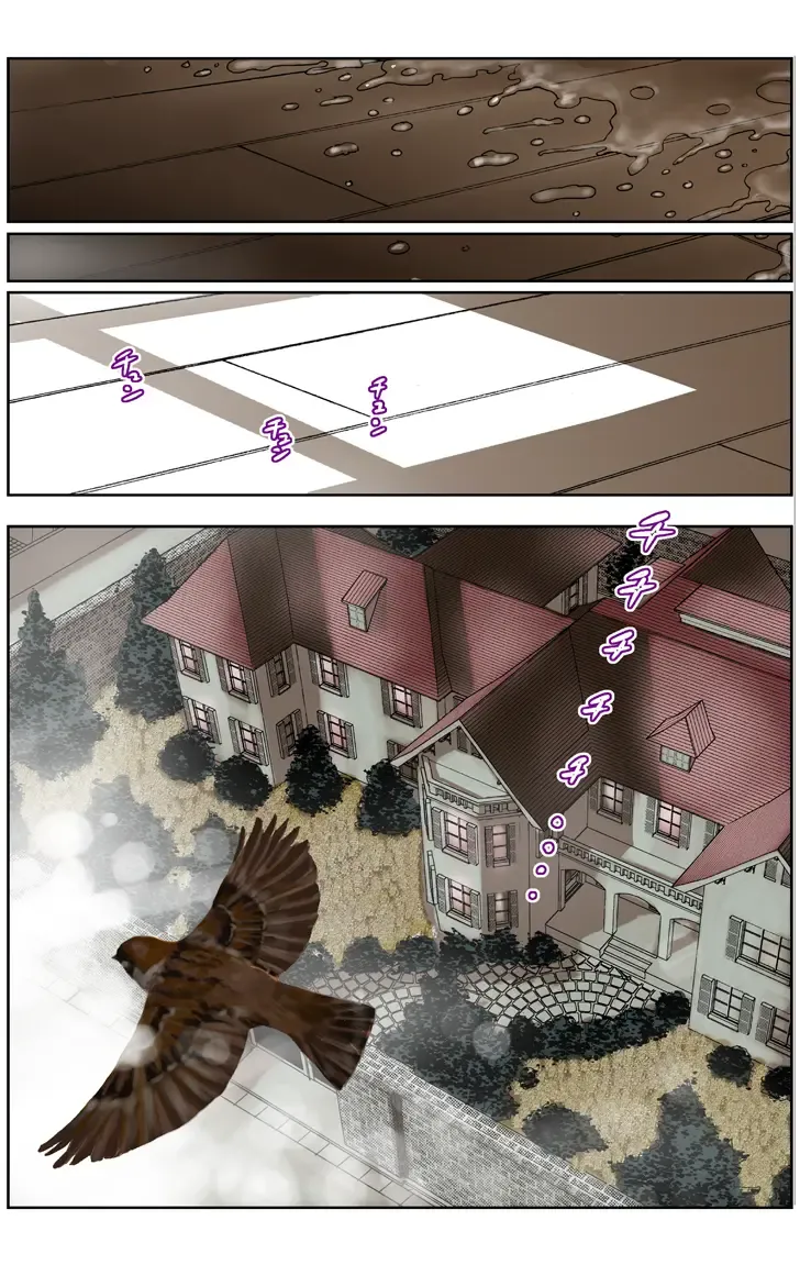 [Karukiya] TOMOHAHA CHOUKYOU "Boku no Kaasan wa Shiken Kikanchuu no 3-Kakan, Aitsu no Omocha ni naru" Fhentai - Page 10