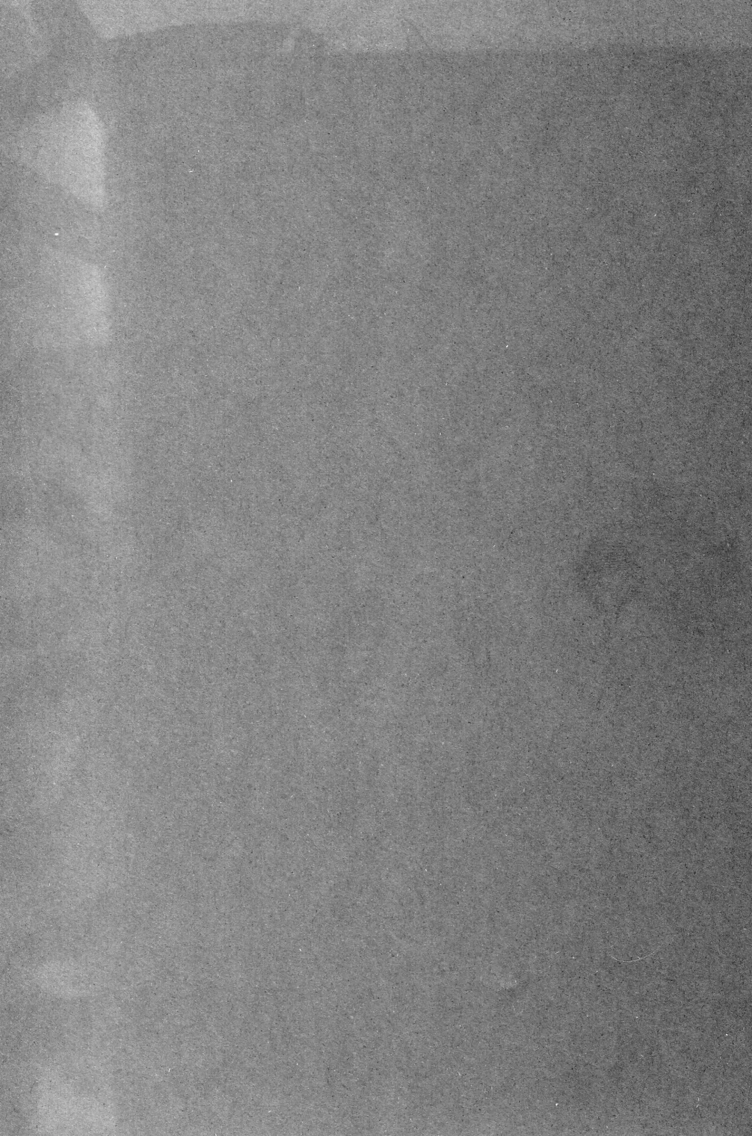 [Nori-haru] Capcom SNK Fhentai - Page 3