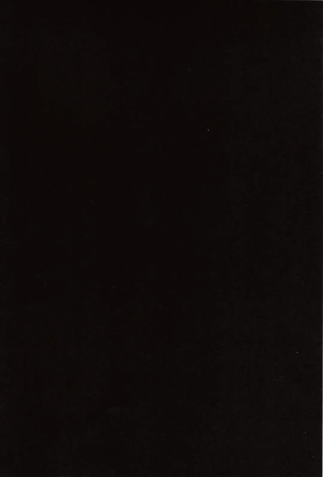 [Saikawa Yusa] Summer Halation 2 Fhentai - Page 36