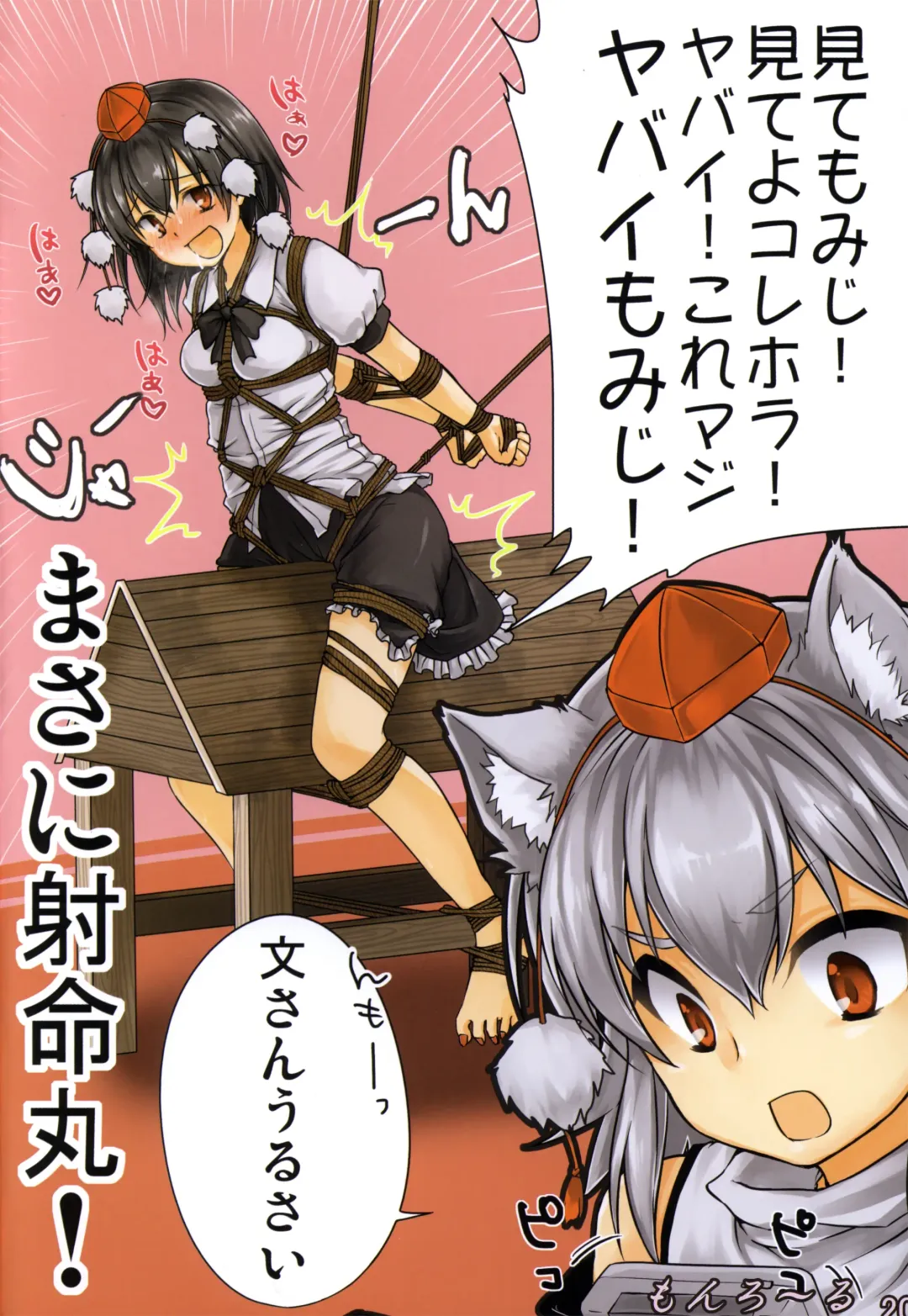 [Lilish - Tamuhi - Yoshi Keto] Touhou Kinbaku Goudou Gensou Kinbaku Shoujo Fhentai - Page 20