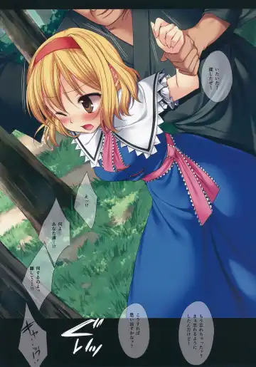 [Nagiyama] Touhou Ryoujoku 24 Full Color Alice Yagai Saimin Rape Fhentai - Page 4