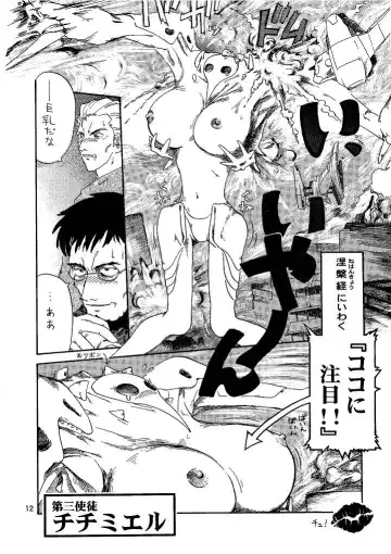 Shin Seiki Nehangelion Fhentai - Page 12