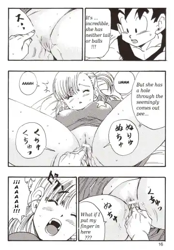 [Youngjijii] Dragon Ball EB 1 - Episode of Bulma Fhentai - Page 16