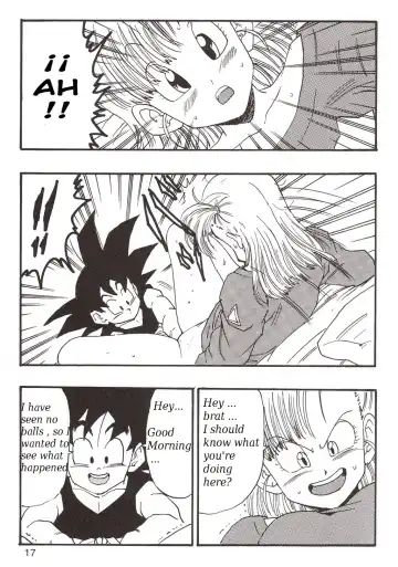 [Youngjijii] Dragon Ball EB 1 - Episode of Bulma Fhentai - Page 17