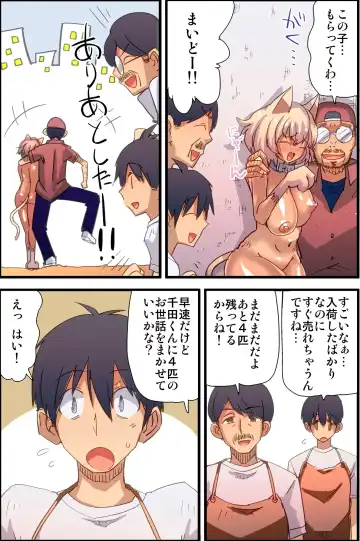 [Vanilla Cream] Honjitsu, Joshi Neko Nyuuka Shimashita! Fhentai - Page 17