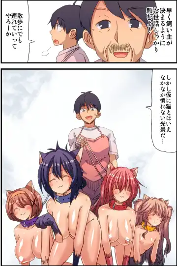 [Vanilla Cream] Honjitsu, Joshi Neko Nyuuka Shimashita! Fhentai - Page 18