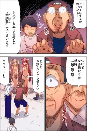 [Vanilla Cream] Honjitsu, Joshi Neko Nyuuka Shimashita! Fhentai - Page 7