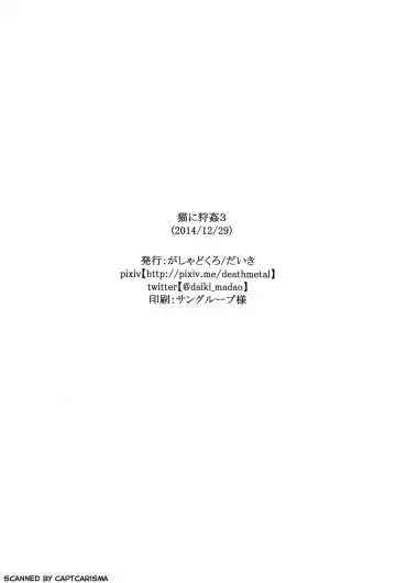 [Daiki] Neko ni Karukan 3 Fhentai - Page 25