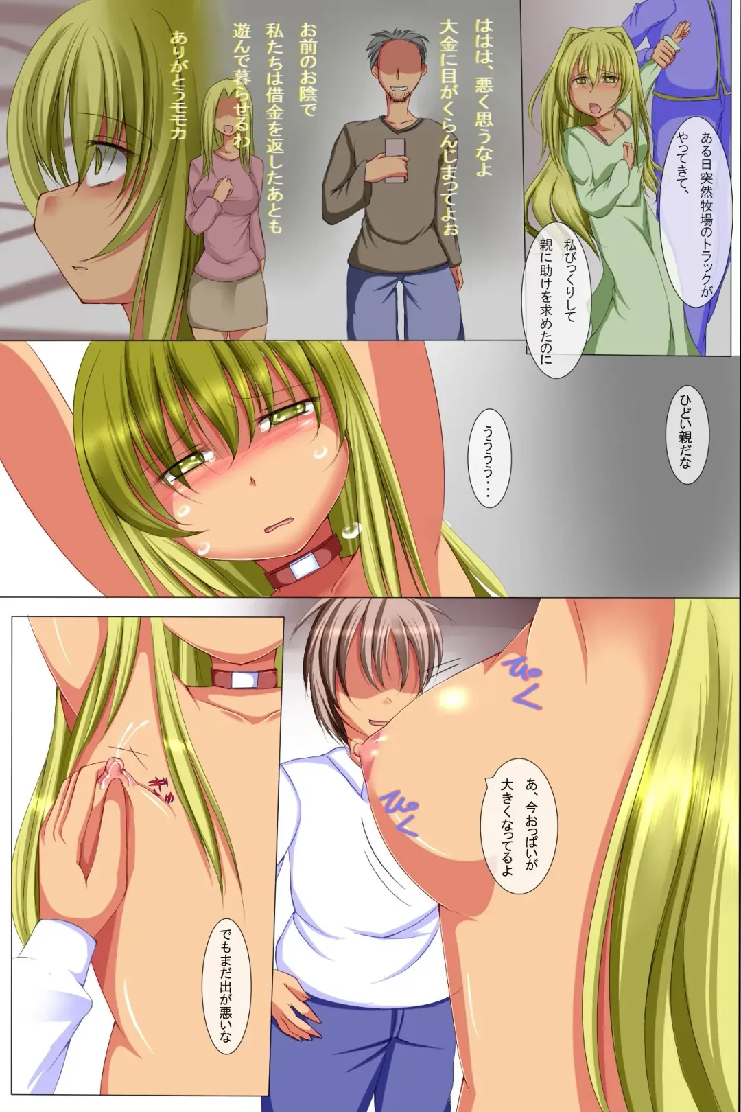 [Hiro] Hame Houdai! Haramase Bokujou Taikenki Fhentai - Page 12