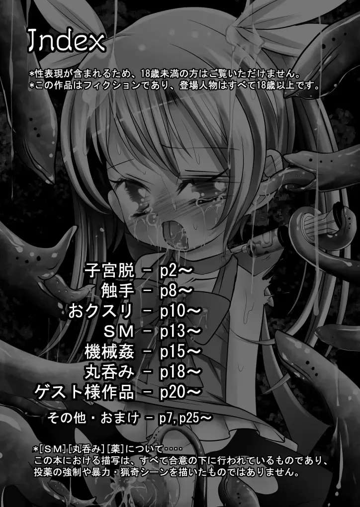 [Midoriko] Ecstasy Daizukan! Vol. 2 Fhentai - Page 3