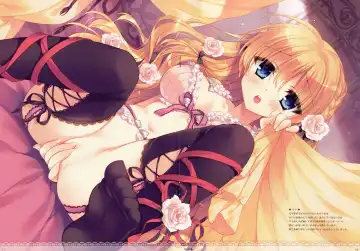 [Rubi-sama - Wori] PRINCESS DAYS Fhentai - Page 8