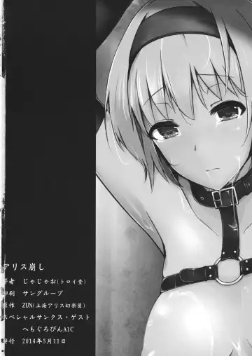 [Jax2o] Alice Kuzushi Fhentai - Page 17