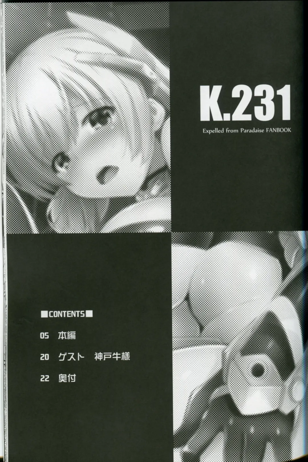[C.r] K.231 Fhentai - Page 2