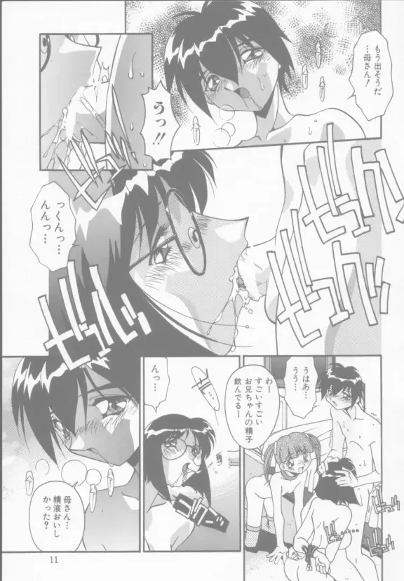 [Hindenburg] Kyoudai no Niku Lynch Fhentai - Page 14