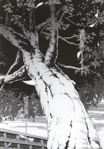 [Aizawa Hiroshi - Iwasaki Hiromasa] Shiori Dai-Nijuuichi-Shou Saigo no Kizuna Fhentai - Page 31