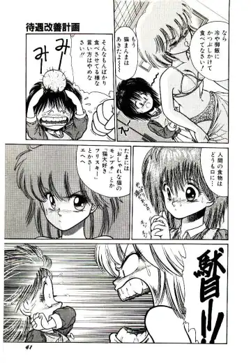 [Cremutsu Cule] Q's COMIC Fhentai - Page 43