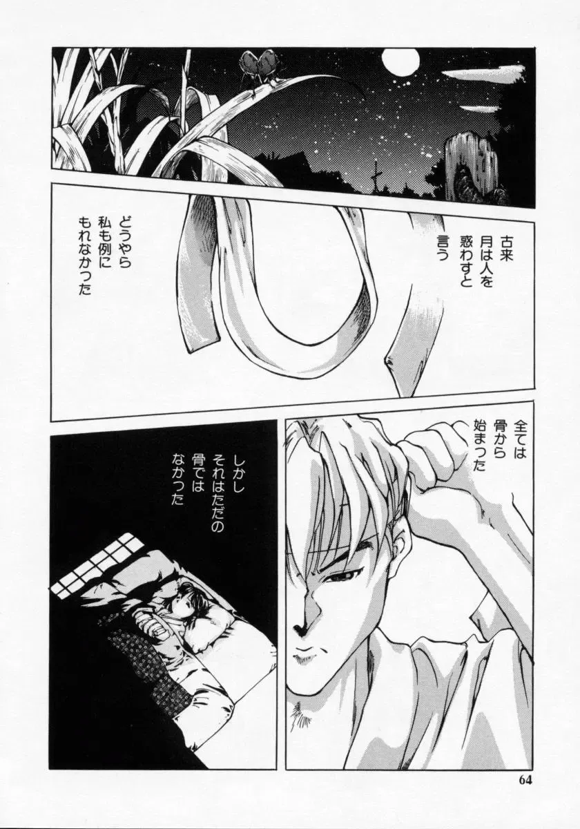 [Maito Shirou] Imouto no Nioi Fhentai - Page 64