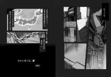 [F4u] Kawaisou na, Hime Fhentai - Page 3