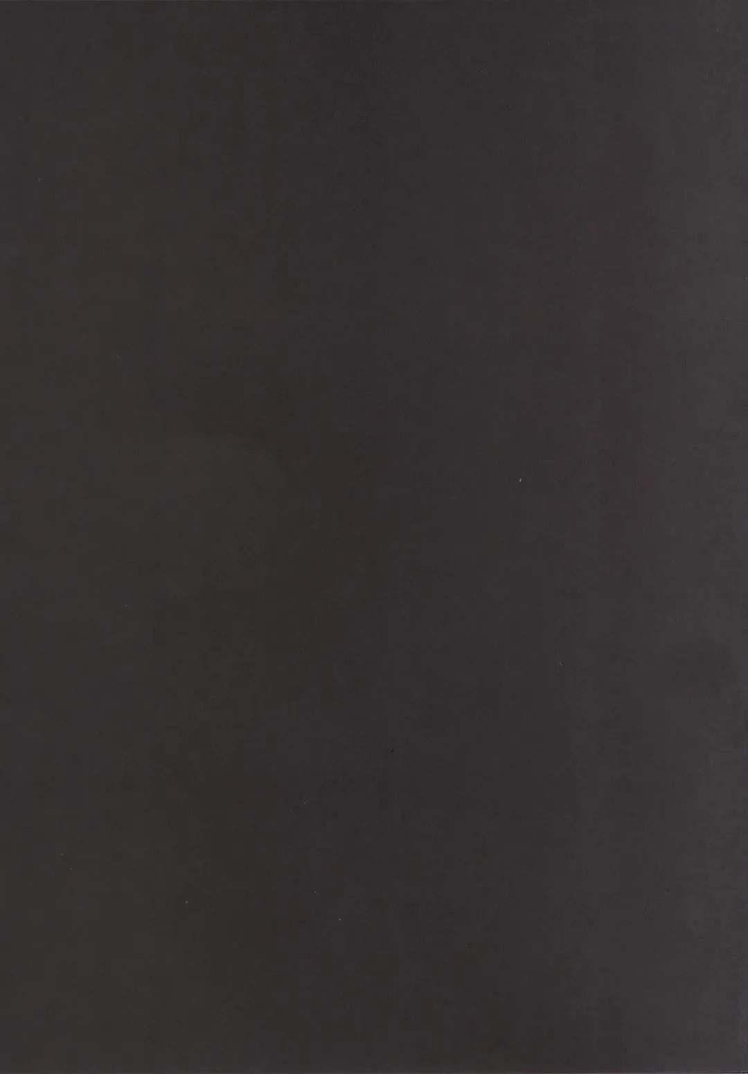 [Okino Ryuuto] Boku to Lucina no Shinkon Seikatsu Fhentai - Page 14