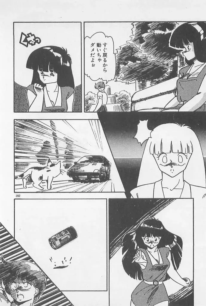 [Hindenburg] Muchimuchi Patrol Fhentai - Page 202