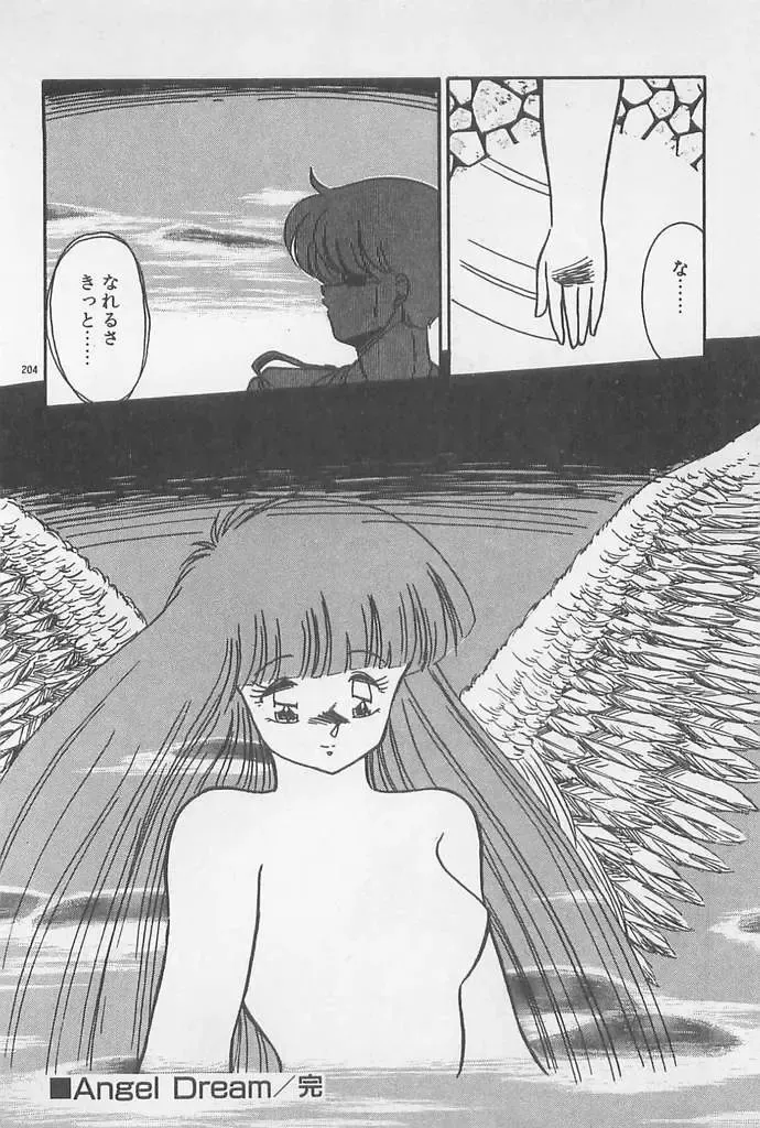 [Hindenburg] Muchimuchi Patrol Fhentai - Page 204