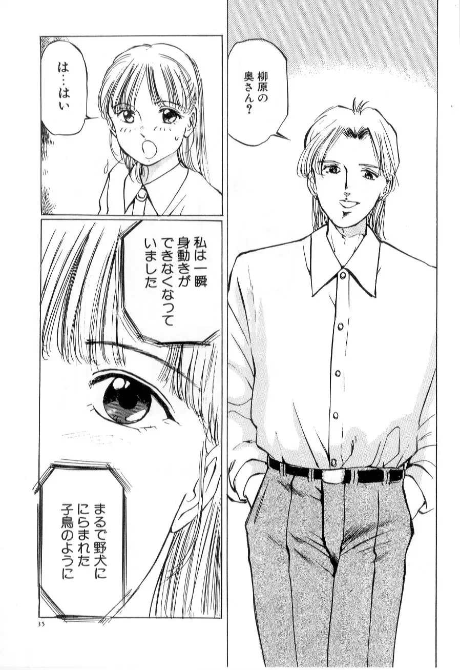 [Manno Rikyuu] Mesu Gari Fhentai - Page 39